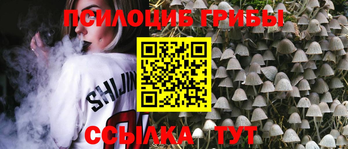 Усинск  Псилоцибиновые грибы MAGIC MUSHROOMS  купить наркотики цена  Вход с VPN 